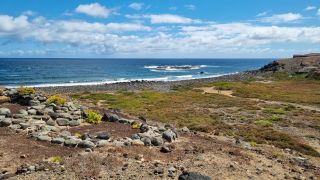 2024-03-Playa_de_Malpaso--La_Restinga-42.jpg
